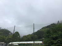 IMG_2391